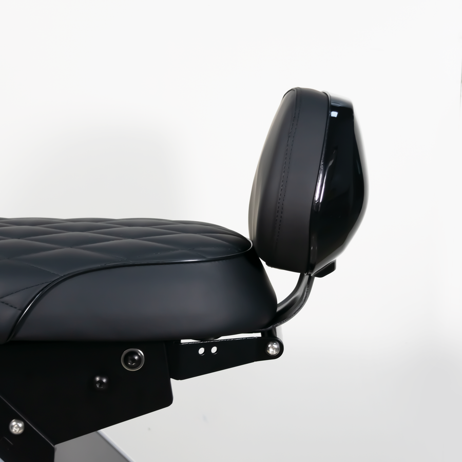 M5 backrest support|lumbar support