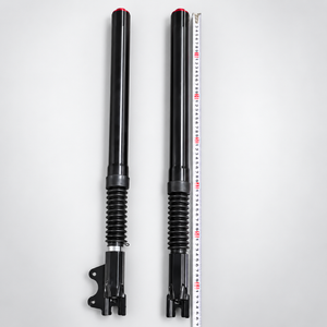 Yisuntrek Molo5 Front Hydraulic Suspension Fork Assembly