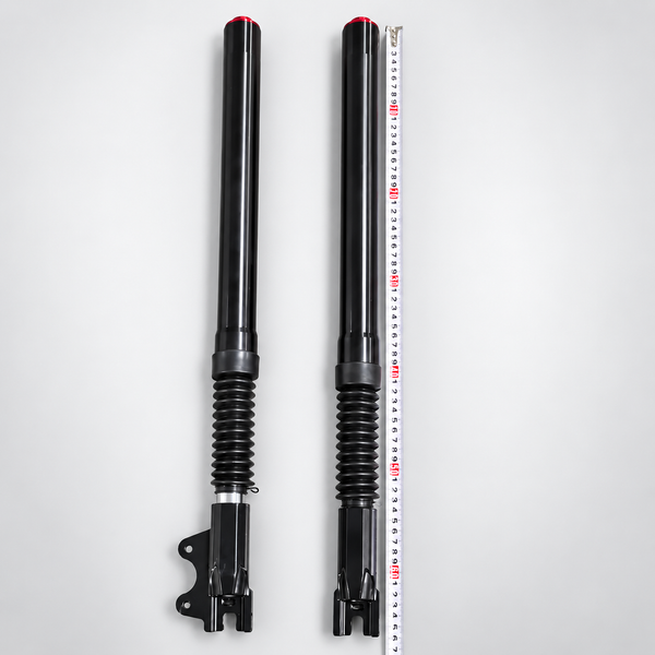 Yisuntrek Molo5 Front Hydraulic Suspension Fork Assembly